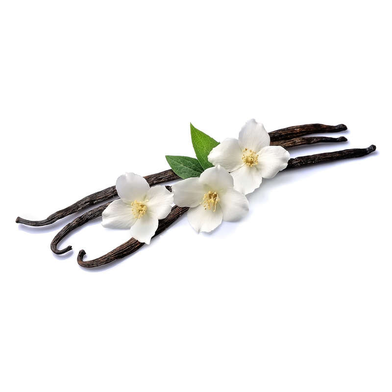 Vanilla Bean Concentrate (FLV)