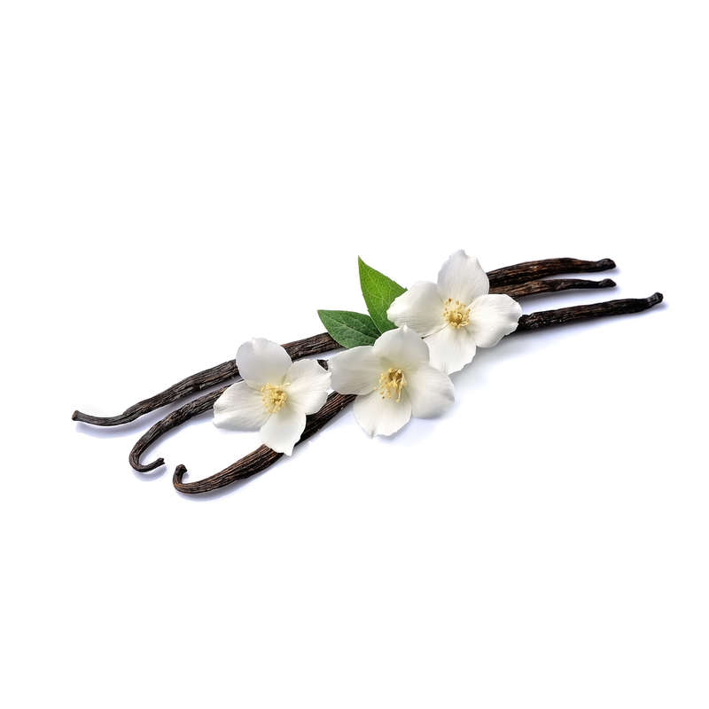 Vanilla Shisha Type Concentrate (INW)