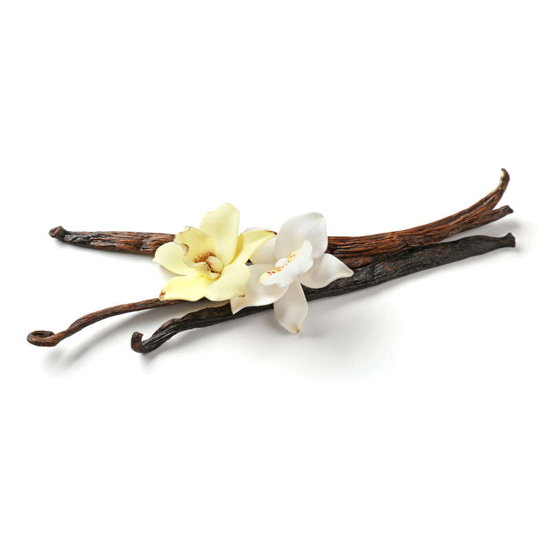Vanilla (Wanilla) Concentrate (INW)