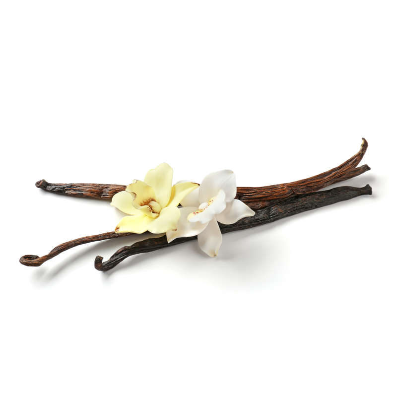 Vanillin 10 Concentrate (TFA)