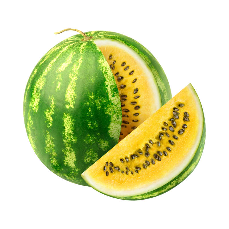 Watermelon (Yellow) SC Concentrate (WF)