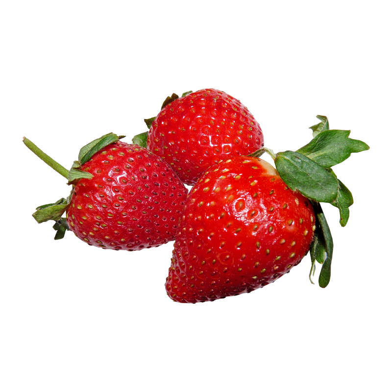 Wild Strawberry Concentrate (FRA)