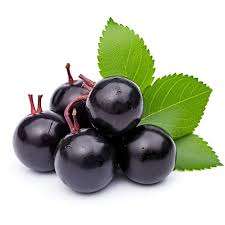 Acai Berry Concentrate (REKA)