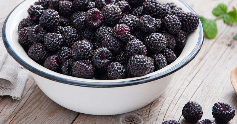 Blackberry Concentate (FA) - 10ml