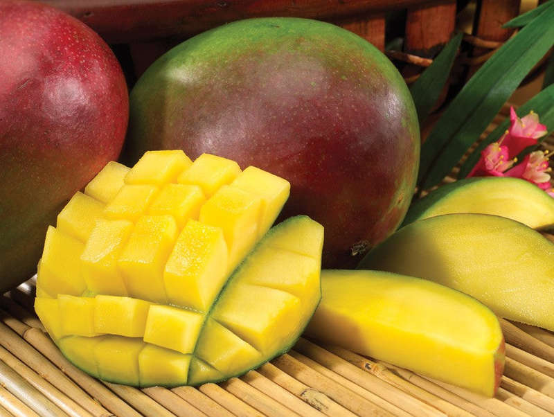 Tropical Mango Concentrate (FRA) - 10ml