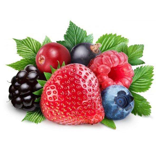 Forrest Mix (Forest fruit) Concentrate (FA) - 10ml