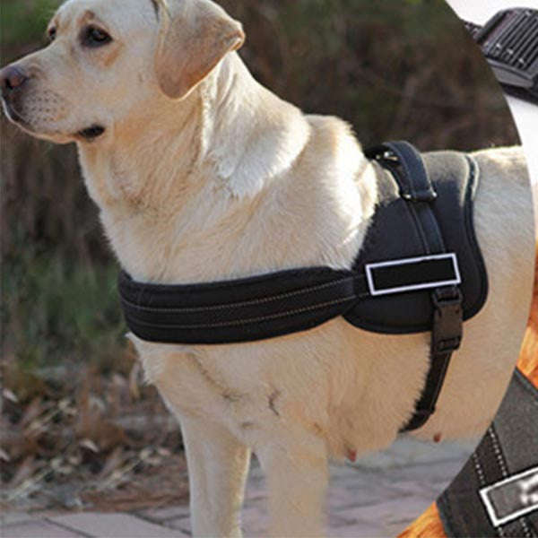 Pet - Dog Harness - Sports Large
