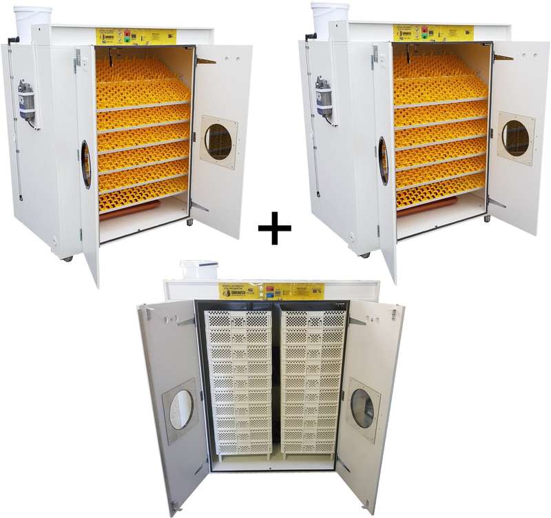 6000 Egg Hatchery - Produce 1440 chicks per week - SH6000 Chick Hatchery
