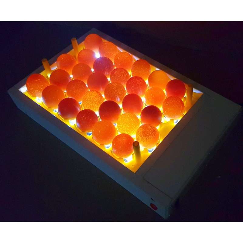 Egg Fertility Tester (Egg Candler) for 30 Chicken Eggs - SureView