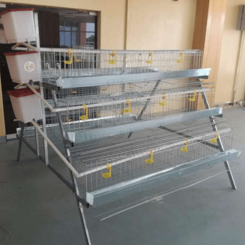 Elite 96 Bird Laying Cage