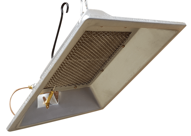 Gas brooder for Chicks