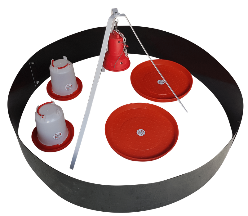 100 Chick Brooder - Infrared Electric Brooder