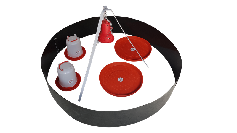 100 Chick Brooder - Infrared Electric Brooder