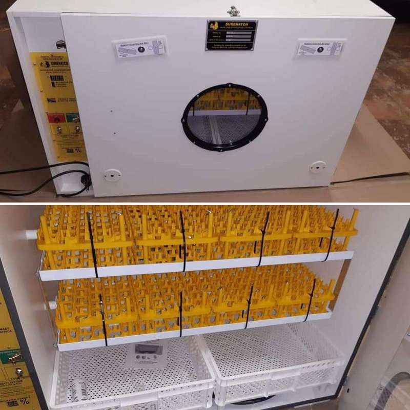 680 Egg Incubator and Hatcher - Fully Automatic Digital Model SH680