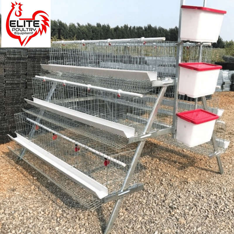 Imali 96 Bird Egg Laying Cage