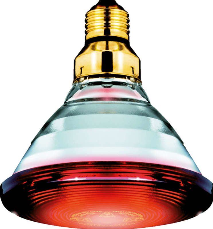 Infrared Heat Lamp