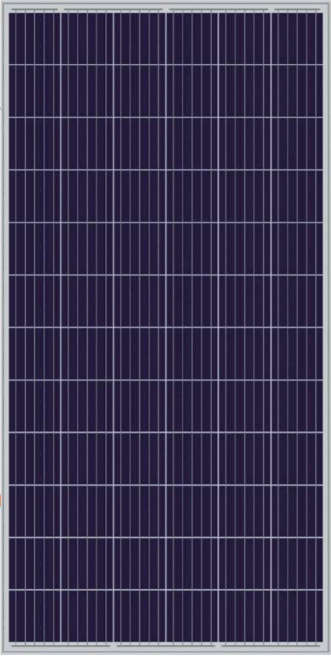 The Sun Pays - 330W Poly PERC 5BB Solar Panel