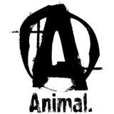 Animal Pak - Universal Nutrition