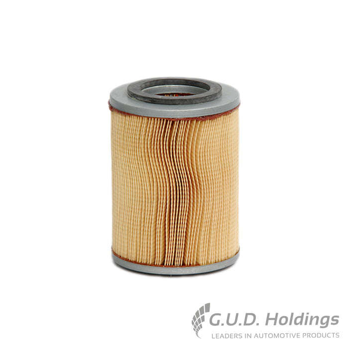 Air Filter - ADG739 (GUD)