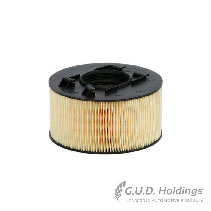 Air Filter - AG1201 (GUD)