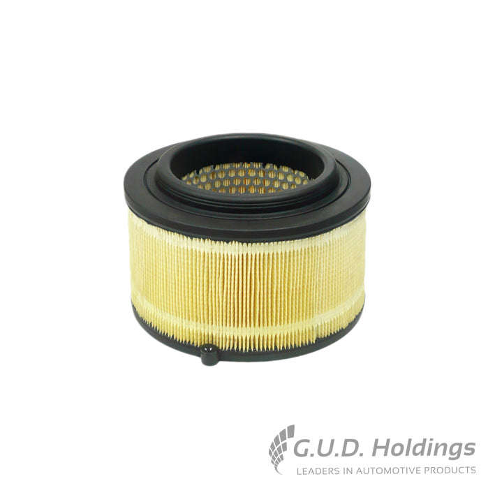 GUD RADIAL SEAL Filter For FORD RANGER [3] 2.2 TDCI (GBVAJPF 16V 88KW) 11-15