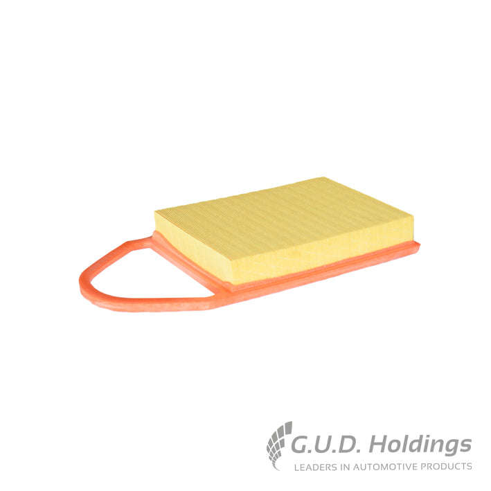 Air Filter - AG1539 (GUD)