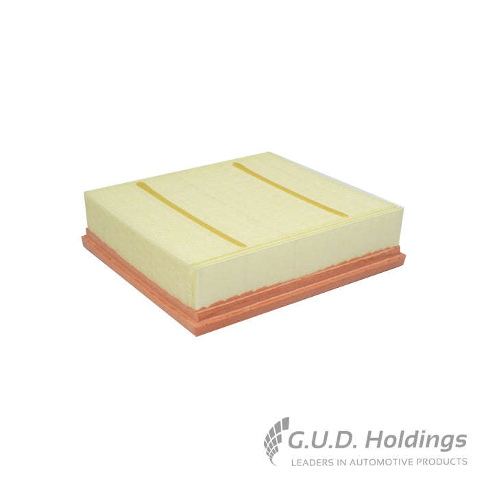 Air Filter - AG1561 (GUD)