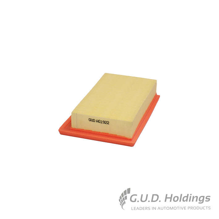 Air Filter - AG1922 (GUD)