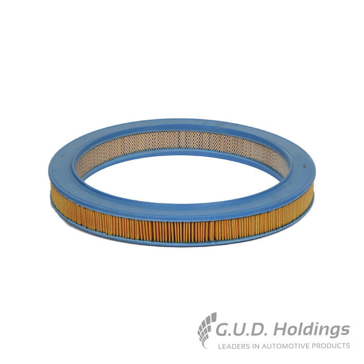 Air Filter - AG439 (GUD)