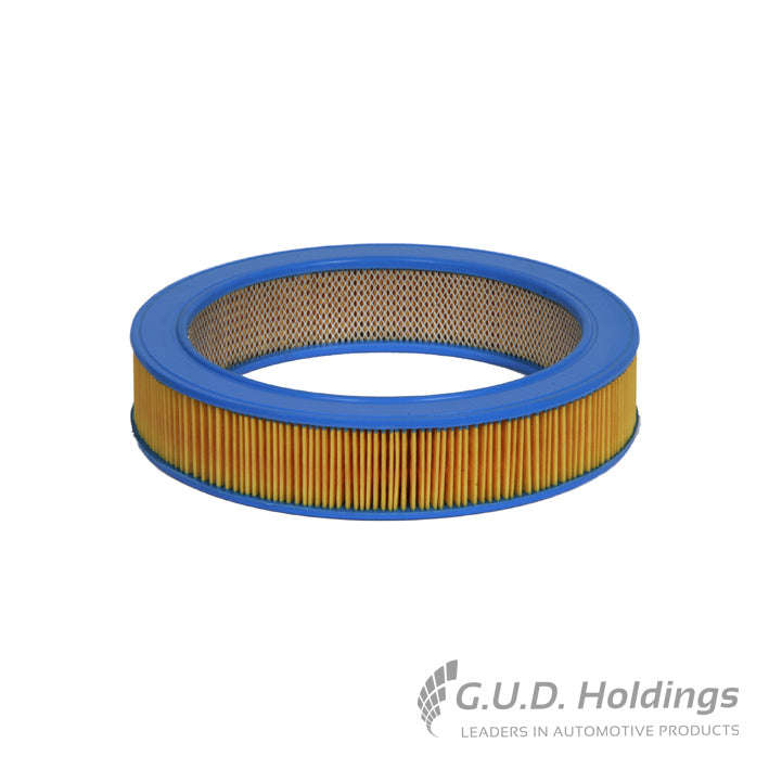 Air Filter - AG467 (GUD)