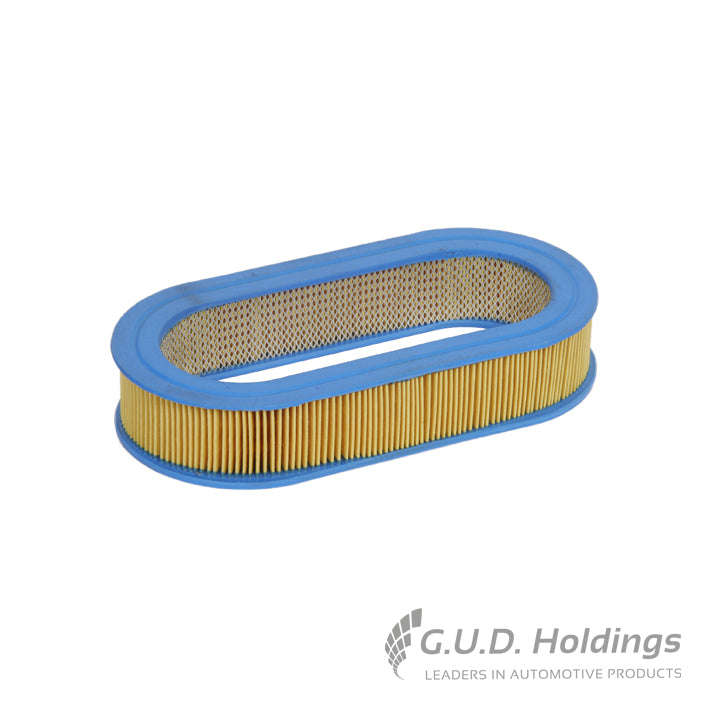 Air Filter - AG493 (GUD)