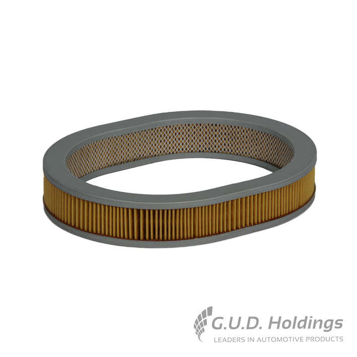 Air Filter - AG667 (GUD)
