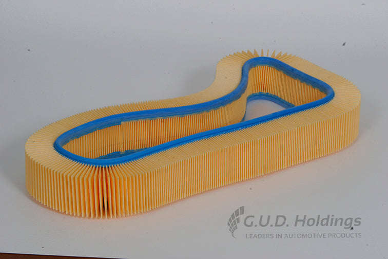 Air Filter - AG719 (GUD)