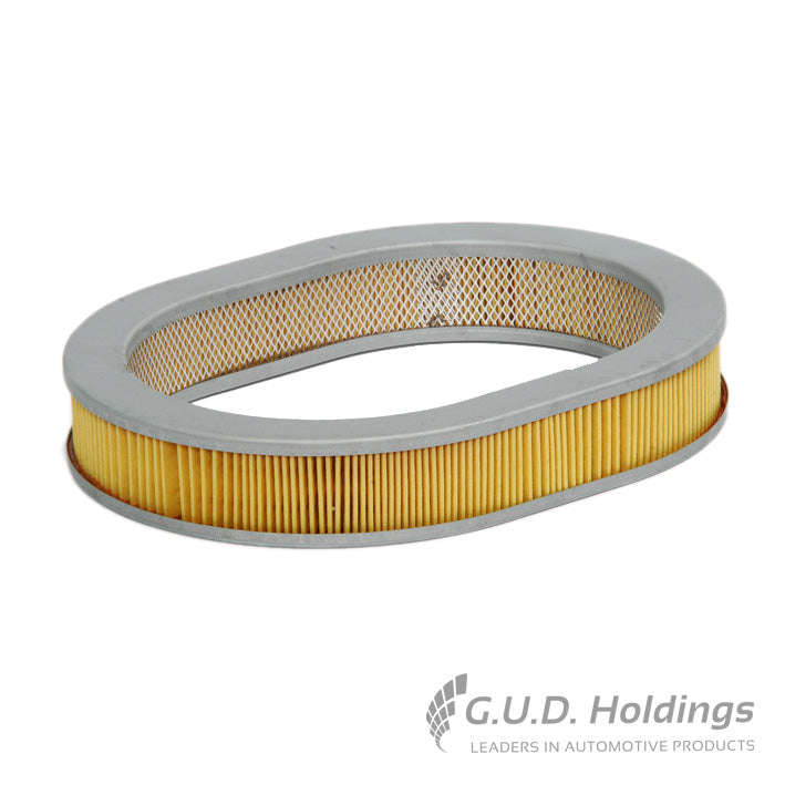 Air Filter - AG805 (GUD)
