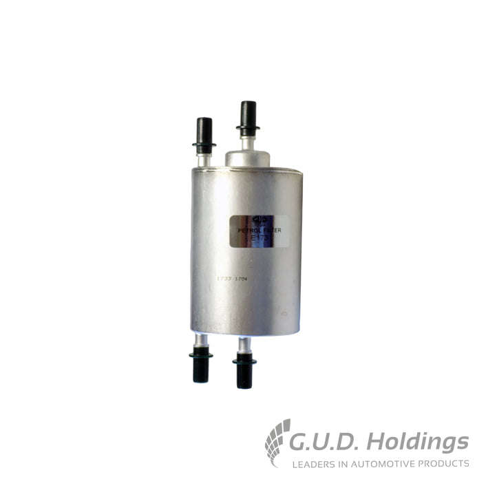 Petrol Fuel Filter - E173 (GUD)