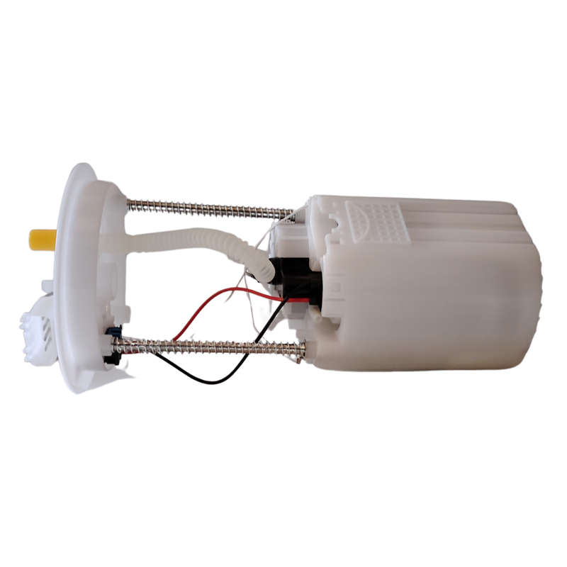 EFP1226 - DOE FUEL PUMP