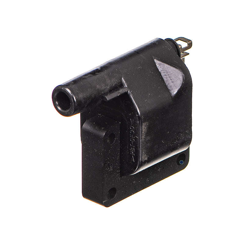 DRY ELECTRONIC IGN.COIL - 12611