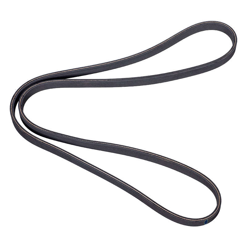 Multi Groove Belt - 6Dpk1697A (Doe)