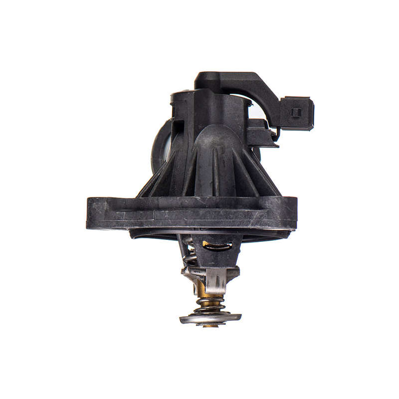 Thermostat And Housing - Aa262 (Beta)