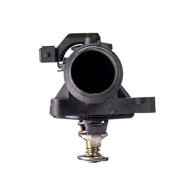 Thermostat And Housing - Aa262 (Beta)