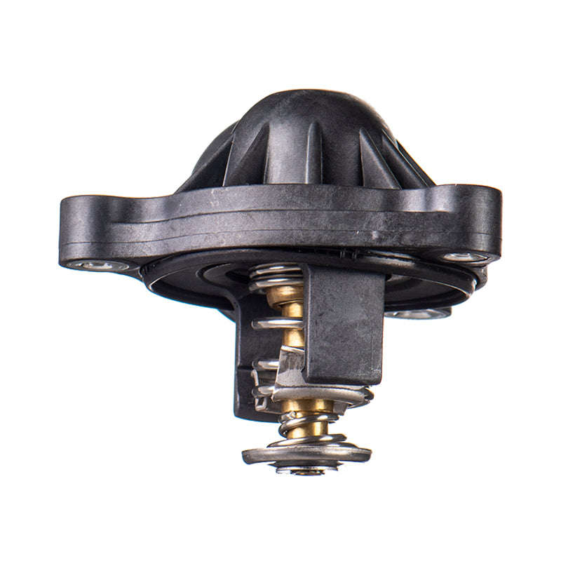 Thermostat And Housing - Aa263 (Beta)
