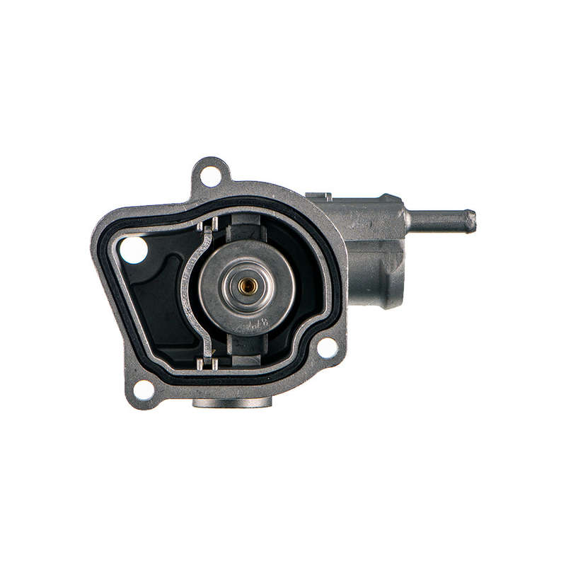 Thermostat - Aa289 (Beta)