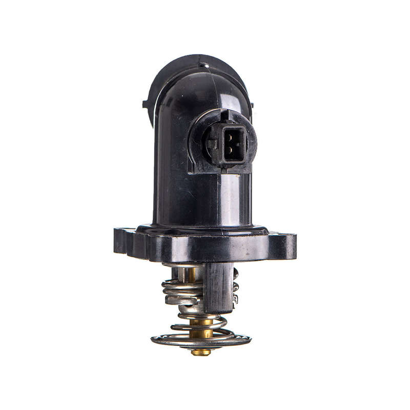 Thermostat - Aa295 (Beta)