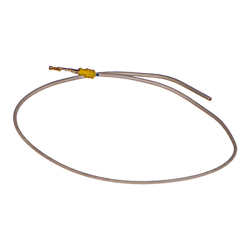 Temperature Sensor Plug Wire - Bw060 (Beta)