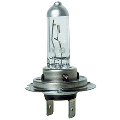 Halogen Lamp - Prmh7 (Doe)