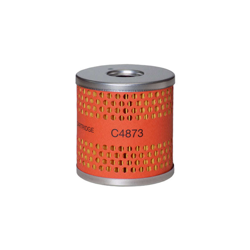 Diesel Filter - C4873 (Fram)