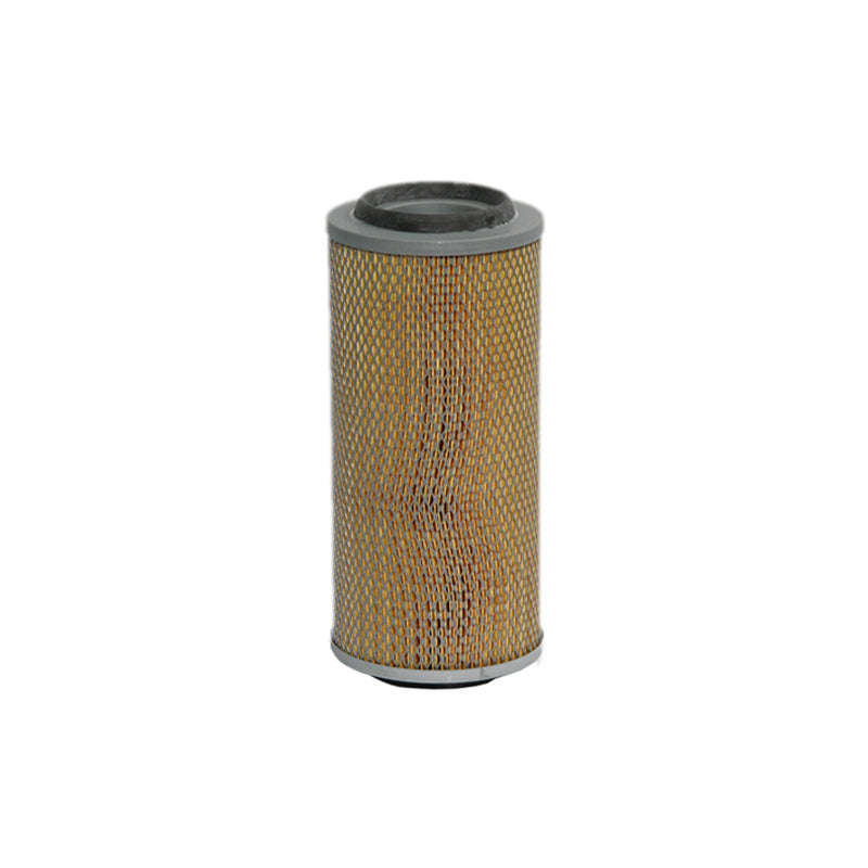 Air Filter - Ca10010 (Fram)