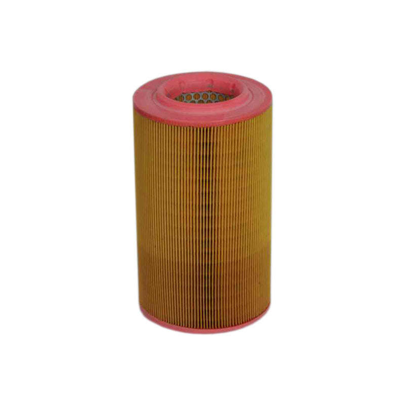 Air Filter - Ca10258 (Fram)