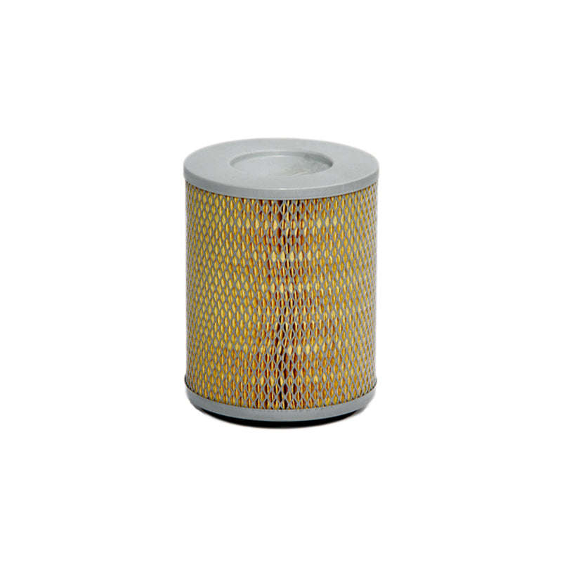 Air Filter - Ca3256 (Fram)