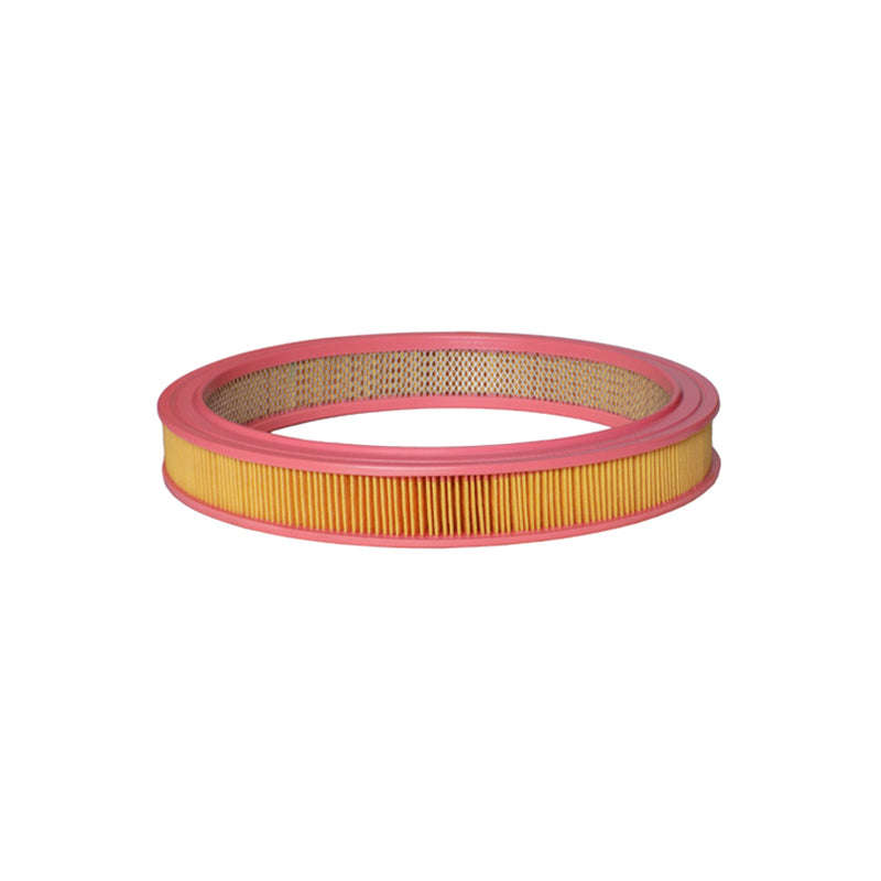 Air Filter - Ca3425 (Fram)
